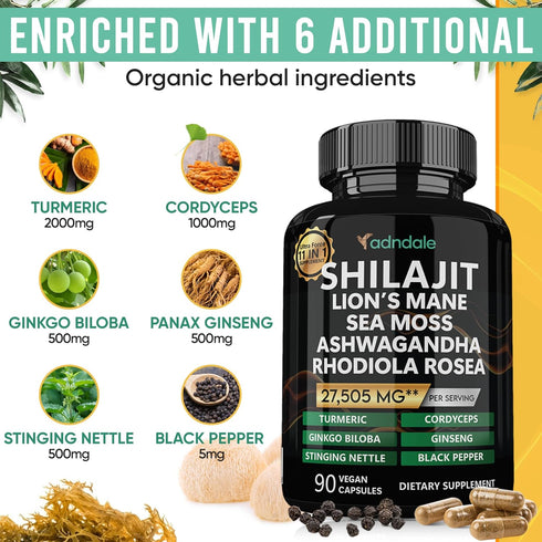 Shilajit Pure Himalayan Organic - 11-in-1 Shilajit Capsules with Sea Moss, Ashwagandha, Turmeric, 27,505 mg/Serving