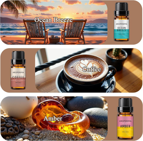 Set 6x10ML Gentlemen Fragrance Essential Oil - Sandalwood, Forest Pine, Bay Rum, Ocean Breeze, Coffee, Amber