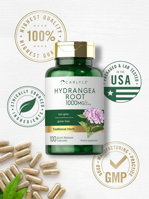 Carlyle Hydrangea Root Capsules | 1,000mg | 100 Count | Non-GMO, Gluten Free Extract