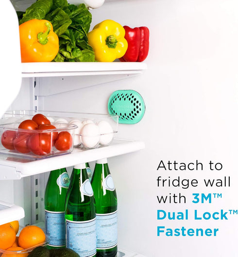 Refrigerator Deodorizer Eliminator, Nontoxic Coconut, Activated Charcoal, Natural Air Fresheners, Moisture & Odor
