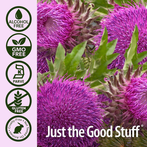 Nature's Answer Milk Thistle Extract 2 Ounce - Alcohol Free, Non GMO Liver Support Supplement, Made in USA
