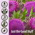 Nature's Answer Milk Thistle Extract 2 Ounce - Alcohol Free, Non GMO Liver Support Supplement, Made in USA