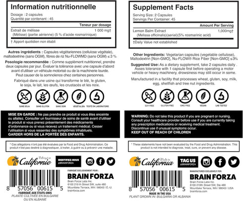 Brain Forza Lemon Balm R5 Extract Capsules - 90 Capsules, Standardized Extract 5% Rosmarinic Acid