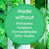 Glade Automatic Spray Refill, 6.2 Oz, Air Freshener for Home and Bathroom, Empower Mint