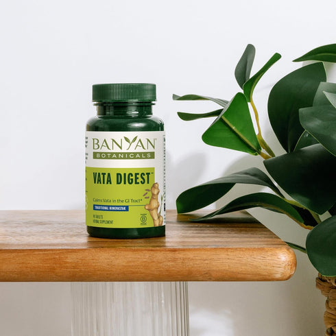 Banyan Botanicals Vata Digest, Organic Digestion Supplement, 90 Tablets, Non-GMO, Vegan, Warming & Balancing