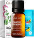 Gya Labs Egyptian Geranium Essential Oil for Diffuser - 0.34 Fl Oz - 100% Pure Natural Aromatherapy Oil