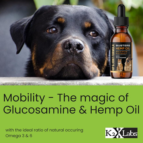 Busters Hip and Joint Hemp Oil Formula with Glucosamine for Pain Relief in Dogs and Pets, Arthritis Support