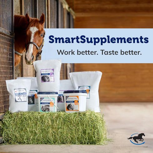 SmartPak Smart & Simple MSM Pellets, 2.6 lb Bucket | Horse Supplement Aids in Cellular and Tissue Strengthening, Helps