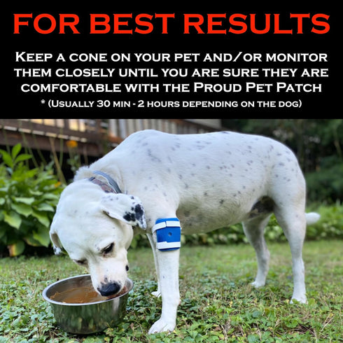Proud Pet Patches Dog Bandage for Wound Care w/Peep Hole Cover. Bandages for Dog Hot Spots, Lick Granuloma, Stitches