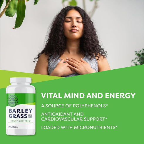 Vimergy Barley Grass Capsules, 30 Servings, Antioxidant Source with Iron, Vitamin C, & Vitamin E, Vegan & Paleo