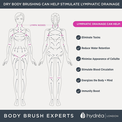 Hydréa London Professional Body Brush - Dry Skin Detox with Extra Long Cactus Bristles