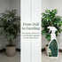 Silk Plant Cleaner Spray No Wipe, Faux Plant Cleaner Cleaner, Removes Dust & Restores Fresh Natural Look, Easy Spray
