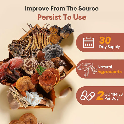 REVERB Gummies 16-In-1 Gummies 0g (60) Mushroom Mushroom Blend With Ashwagandha For Brain Health,Cognitive, Memory