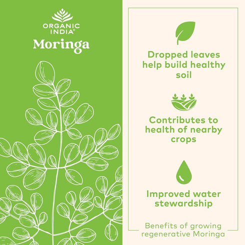 ORGANIC INDIA Moringa Powder - Moringa Oleifera Leaf Herbal Supplement, 8 oz, USDA Certified Organic
