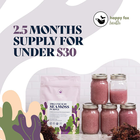 HAPPY FOX Organic Sea Moss Raw Purple - Makes 75oz of Seamoss Gel, Certified Non-GMO, Wildcrafted Superfood - 100 gram