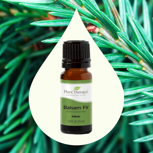 Plant Therapy Balsam Fir Essential Oil, 10 mL (1/3 oz), 100% Pure, Undiluted, Therapeutic Grade