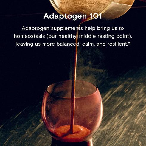 Moon Juice Ashwagandha Organic Root Powder Extract - 72 Servings Natural Stress Relief, Focus & Mood Support, Vegan