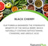 NaturesPlus Herbal Actives Black Cherry, 30 Tablets, Vegetarian, Gluten Free, Extended Release Antioxidant Support