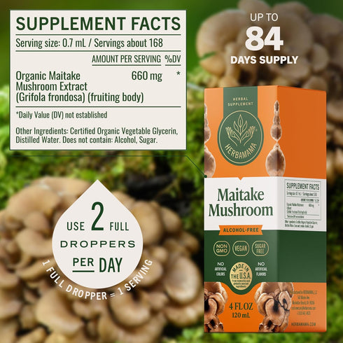 Immune Immunity 84-Day HERBAMAMA Maitake Mushroom Tincture - Vegan Defense with Maitake Mushrooms Extract Drops