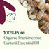 Plant Therapy Organic Frankincense Carterii Essential Oil, 100% Pure, 10 mL, USDA Certified Organic