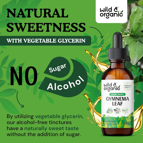 Gymnema Tincture - Sugar-Free Organic Gymnema Sylvestre Liquid with Antioxidants, Vegan Drops (2 oz)
