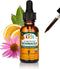 Herb Pharm Kids Certified-Organic Echinacea Glycerite Liquid Extract, Alcohol-Free, 1 Ounce