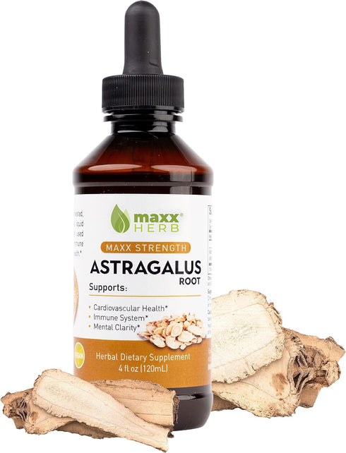 Maxx Herb Astragalus Root Extract - Max Strength Liquid Tincture Absorbs Better
