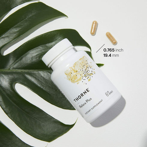 THORNE Craving and Stress Support (Formerly Relora Plus) - 60 Capsules for Sleep and Stress