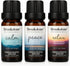 Brookstone Essential Oil Blends Sleep Collection | Organic Essential Oil Set for