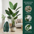 Silk Plant Cleaner Spray No Wipe, Fake Flower Cleaner Cleaner, Removes Dust & Restores Fresh Natural Look, Easy Spray