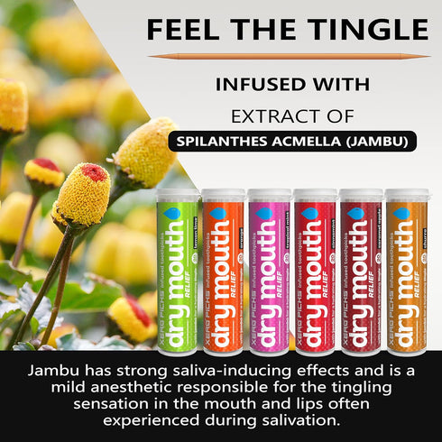 Xero Picks Dry Mouth - Infused Flavored Toothpicks for Long Lasting Fresh Breath & Dry Mouth Prevention