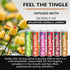 Xero Picks Dry Mouth - Infused Flavored Toothpicks for Long Lasting Fresh Breath & Dry Mouth Prevention