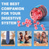 Butyrate Gummies with Probiotic + Prebiotic + Postbiotic - 9 Billion CFU for Digestive Health and Bloating Support