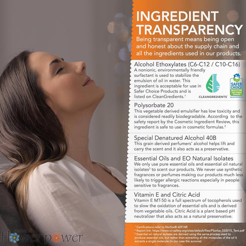 Air Freshener Spray - Odor Eliminator with Essential Oils, Home, Car & Fabric, 2 x 4 fl oz Citrus & Spice