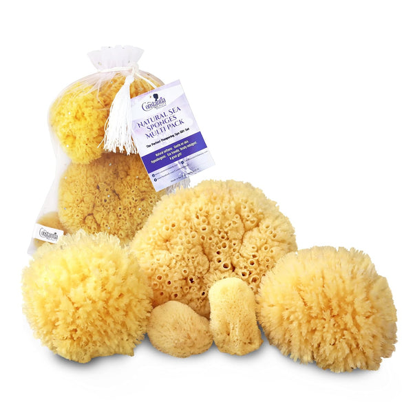 Real Natural Sea Sponges Multipack, 5pc Spa Gift Set for Bath Shower Facial Cleansing