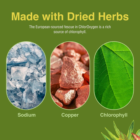 Herbs Etc. ChlorOxygen Chlorophyll Concentrate, 2 fl oz, Energy Support
