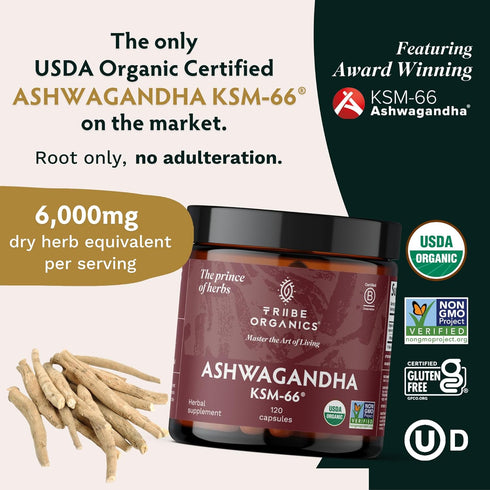 TRIBE ORGANICS Ashwagandha KSM 66 - Pure Organic Root Powder Extract for Focus, Mood Support & Energy - 600mg, 120