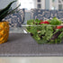 PLASTICPRO Extra Heavy Duty Clear Medium Disposable Square Serving Bowls, Elegant Pack of 4 for Party Snack or Salad