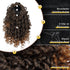 PEACOCO Curly Ponytail Extension Drawstring for Black Women - 10 Inch Clip on Synthetic Afro Hairpiece for Daily Use