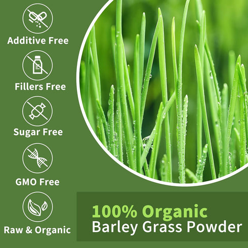 Hudetex Sugar-Free8 oz Barley Grass Juice Powder Rich in Chlorophyll & Natural Nutrients, Barley Grass Powder