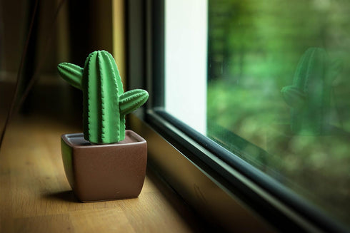 Maxi Cactus, Non-Electric Ceramic Diffusers for Essential Oils and Aromatherapy Fragrance, White Ceramic Diffusers