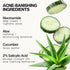Pacifica Acne Defense Face Wash - Deep Pore Purifying Cleanser with 2% Salicylic Acid, Niacinamide & Cucumber for