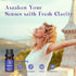 Set 6 10ml ASAKUKI Diffuser Oil Blends for Diffusers, Humidifiers, Candle Making, Aromatherapy-Breathe, Uplift