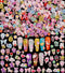 Pack of 250pcs Cute 3D Nail Charms for Acrylic Nails, Flower Bee Pineapple Bear Charms for Nail Art Decorations