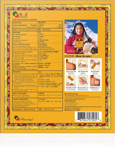 Cheezheng Pain Relieving Plaster, 5 Patches