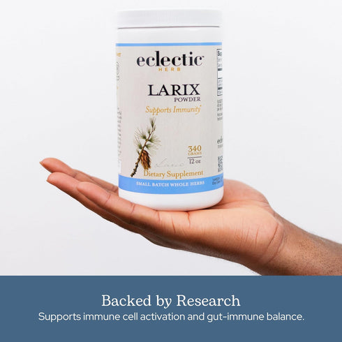 Immune Immunity (3 oz 85 Eclectic Herb - Larix Powder | Natural + Gut Health Support | Larch Laricina | & Gut Flora