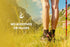 PURE ORIGINAL INGREDIENTS Chamomile Extract, 365 Capsules, No Fillers, Always Pure, Lab Verified