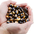mookaitedecor Healing Crystals - Tiger's Eye Heart Love Worry Palm Stone Reiki Balancing, Pack of 12