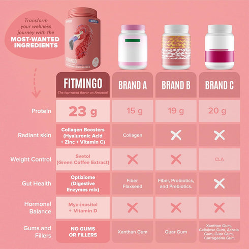 Birdman Fitmingo Vegan Protein Powder for Women - 23g Plant Based Blueberry Protein with Inositol and Collagen Boosters