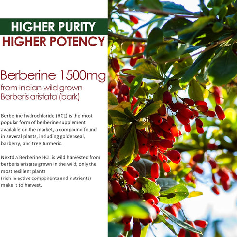 Berberine Supplement 1500mg - Sugar Free Gummies with Ceylon Cinnamon, Turmeric, Milk Thistle, 2 Pack